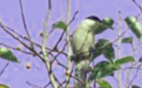 С�B��������600�֡����T��