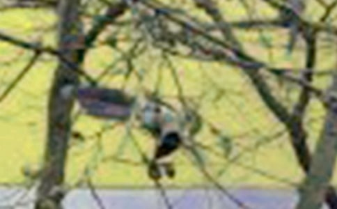 ���x��С�B������3ƪ