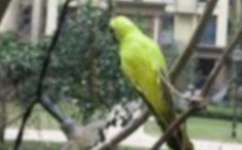 �܂���С�B������ƪ