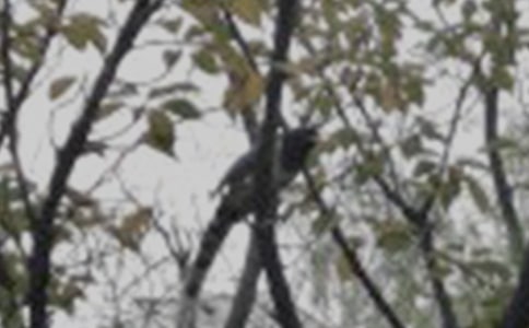 ����Ʒ��С�B������4ƪ