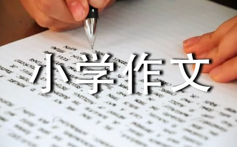 �����Լ�С�W����