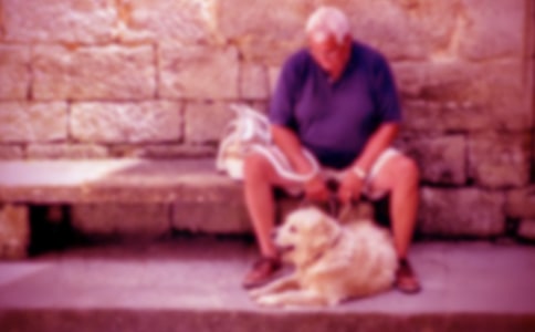 �ҵĠ�������(���\95ƪ)