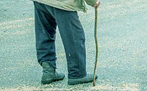 爺爺有你真好滿分作文(精選28篇)