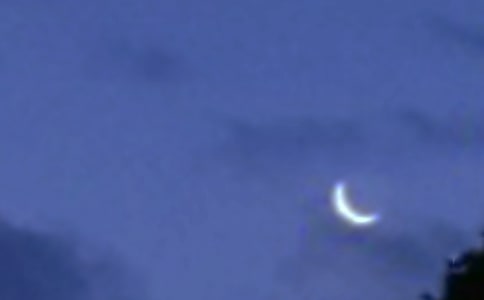 家里養著月亮閱讀理解答案