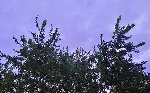 ��ů���簲�����Z460��