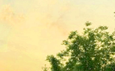 2025���m�����ϰl���簲�����Z290��