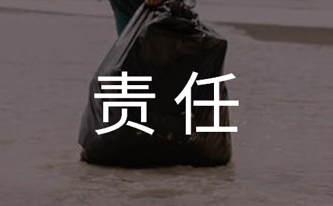 責(zé)任督學(xué)工作總結(jié)