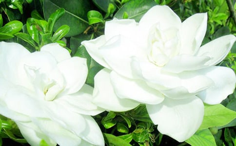 �d�ӻ��_�����ģ����x109ƪ��