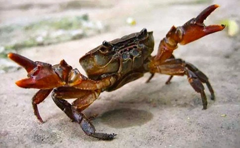 [�ϼ�]���з����