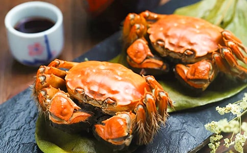 (�؂�)���з����