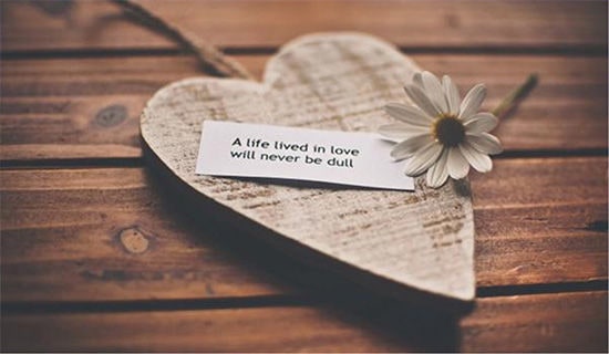 愛情唯美祝福文案200句