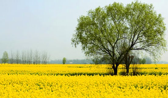 春游博物館作文(通用111篇)