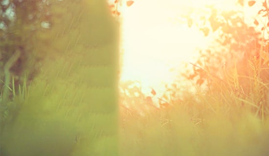 2021�꽛(j��ng)��Ψ����о��ӅR��69�l