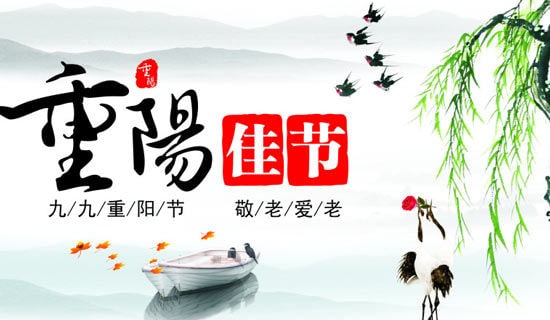 2023����ꖹ��Ĝ�ܰף���Z240��