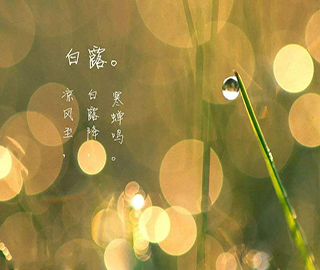 ��¶ף���Z