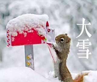 大雪祝福語 大雪祝福語