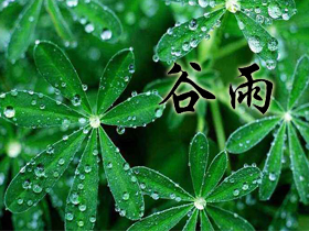 谷雨祝福語 谷雨祝福語