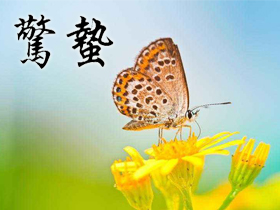 驚蟄祝福語 驚蟄祝福語