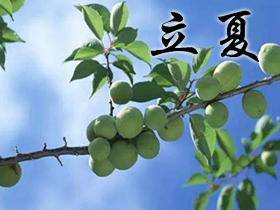 立夏祝福語 立夏祝福語