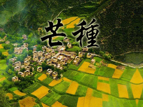 芒種祝福語 芒種祝福語