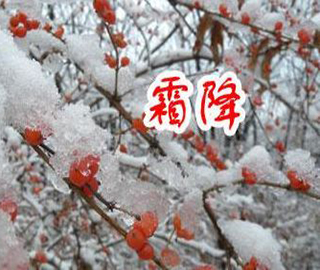霜降祝福語 霜降祝福語