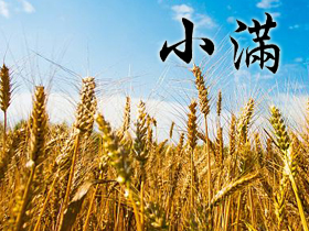 小滿祝福語 小滿祝福語