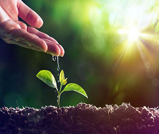 植樹節祝福語 植樹節祝福語