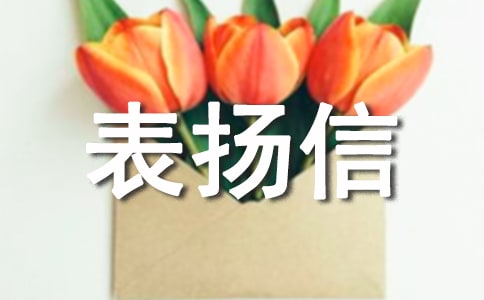 ������P�Ÿ�ʽ