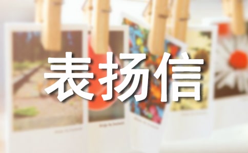 �����M�ߵĹ��_����ƪ-��P��