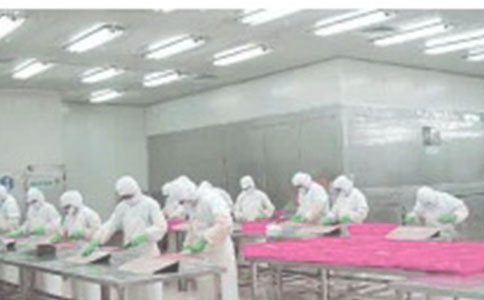 ܇�g���L���������