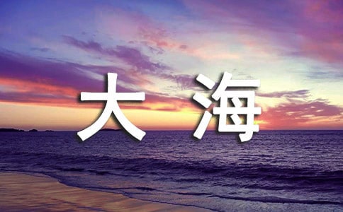 感受大海作文5篇