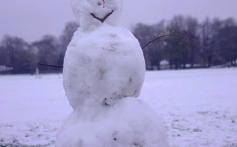 �茑(xi��)���������Ӣ��