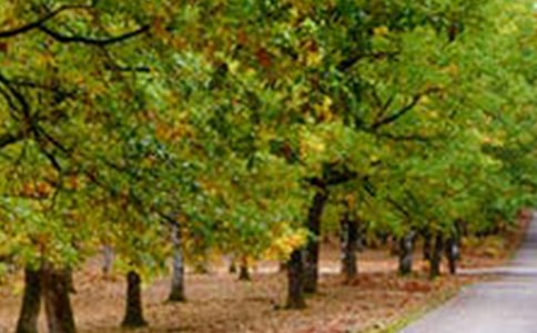 �L�������ĵط����ĺϼ���ƪ