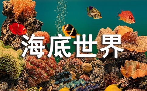 蘇教版海底世界教學設計