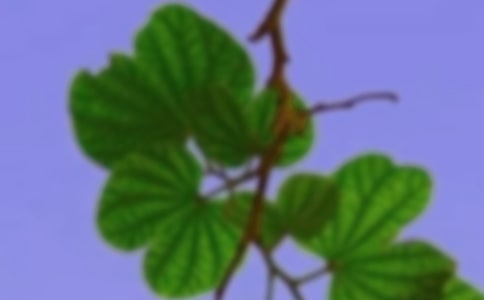 人教版六年級(jí)上冊(cè)第七單元作文:人鴨共譜和諧曲