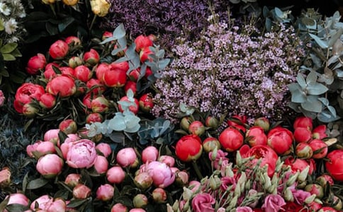 ���ꄓ(chu��ng)��(chu��ng)�I(y��)Ӌ(j��)����(sh��)�����x14ƪ��