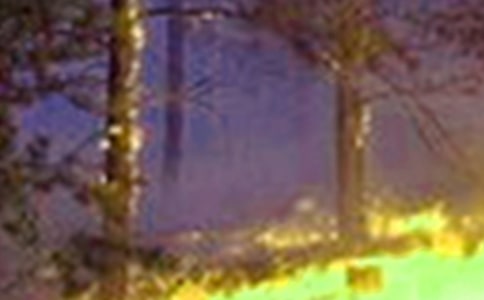 火災防控的工作總結