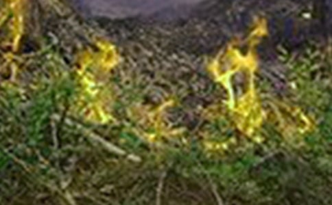 늚��ľC�������ϰ���Ĺ������Y���ģ����x9ƪ��