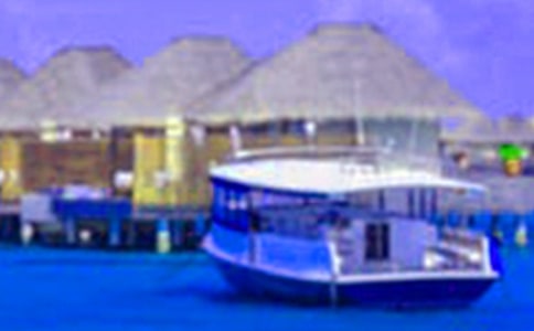 (經典)假期的生活作文