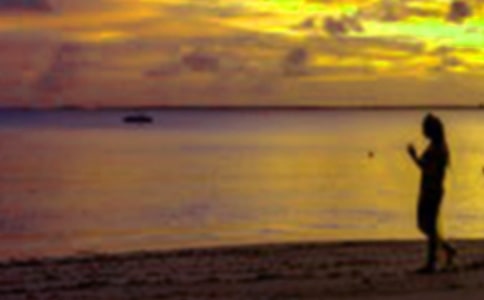 (精華)難忘的假期生活小學作文