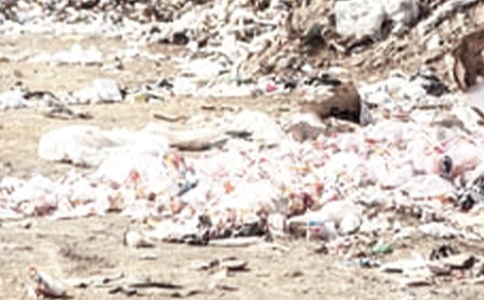 [���]]�W���y�������zӑ��