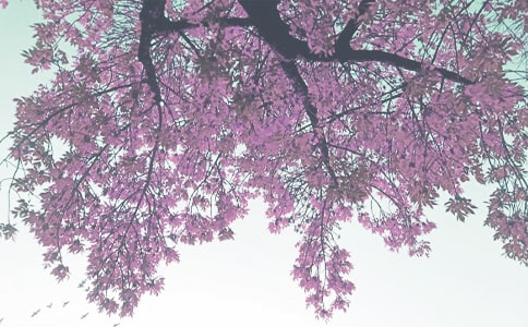 2022�а��＾������˹���Ӌ����ͨ��12ƪ��