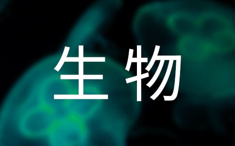 2023初中生物教學(xué)工作計(jì)劃