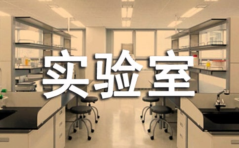 2019���л��W����ҹ������Y