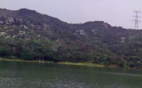 ˮ������ˆT��ȿ��Y�����x10ƪ��