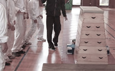 體育教學個人工作總結11篇