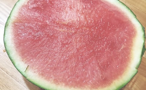 My summer day(我的夏日)