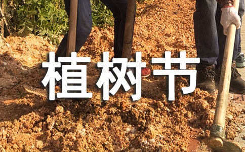 ��˾ֲ�九��ӷ����؂�10ƪ