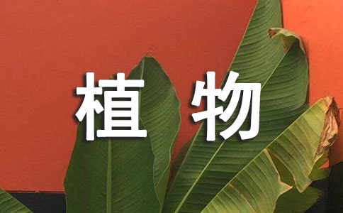 植物學實習報告(匯編10篇)