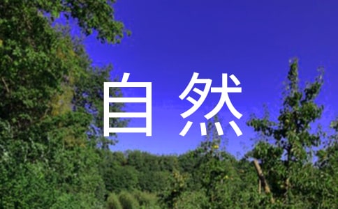 關(guān)于寫一處自然景觀作文300字匯總6篇